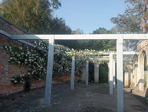 Orangery - Thumbnail