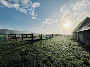 Photo n°6 de Agence La Maison à Pont-l'Évêque (Agence immobilière)