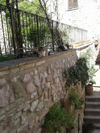 Spello House Patio