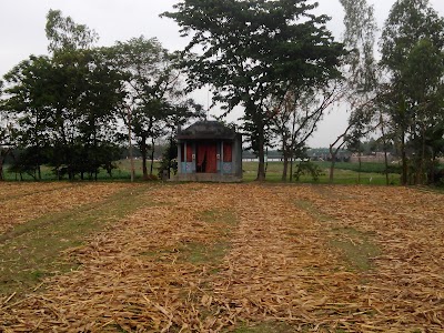 Photos of ভদ্রা কালীর মন্দির