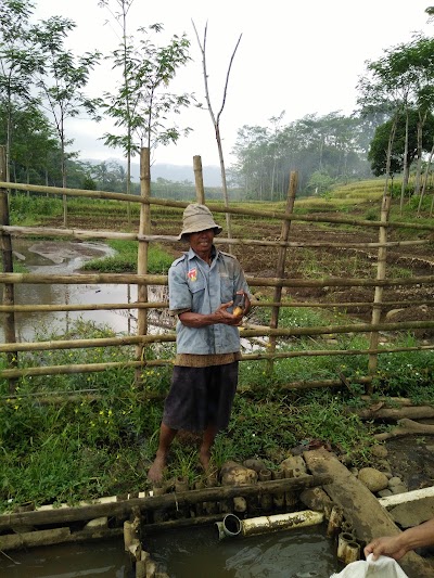 Photos of Pemancingan Bpk Kusen