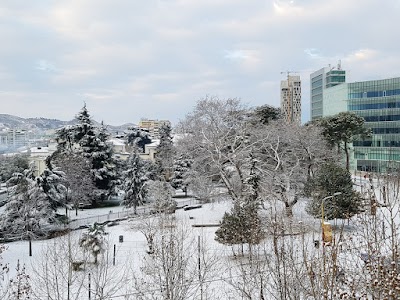 Park Fan Stilian Noli