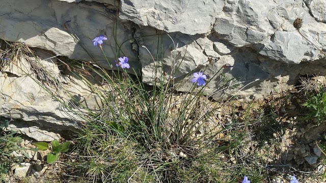 Calanque de Sugiton