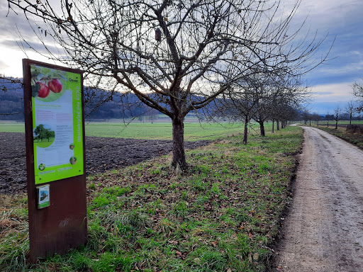 Obstlehrpfad - Thumbnail