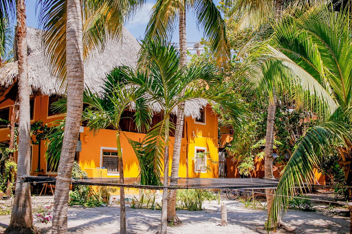 Hostel Tribu