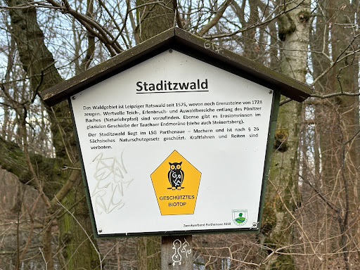 Staditzteich - Visual