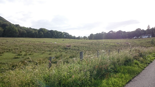 Fintry - Visual