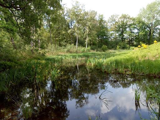 Hunenborg