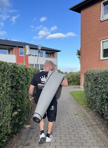 Harald Blåtands Flyttefirma ApS - Fredensborg