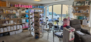 Photo n°2 de MATERIEL MEDICAL ALSACE BOSSUE à Drulingen (Magasin de matériel médical)