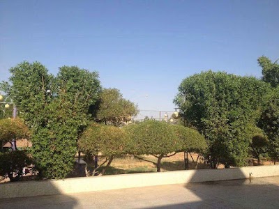 Photos of كلية الطب البيطري - جامعة المثنى