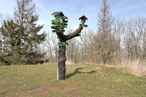 Pleß-Turm - Visual