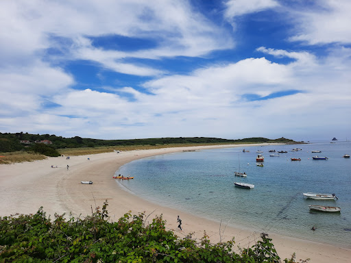 Scilly Seal Snorkelling - Thumbnail