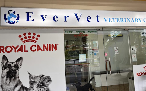 EverVet Veterinary Clinic (Bedok) - Thumbnail