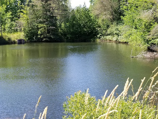 Mono Cliffs Provincial Park