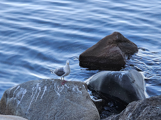 Freshwater Bay County Park - Thumbnail