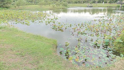 photo of Taitung Forest Park