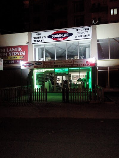 Photos of Doğanlar Halı Toki Şubesi