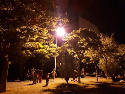 Photos of Zeytoun Park
