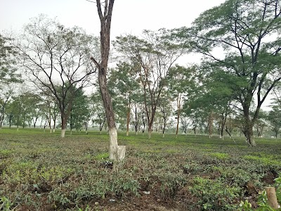 Hindu Temple