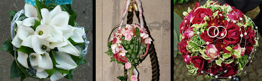 Blumen Zander - Thumbnail