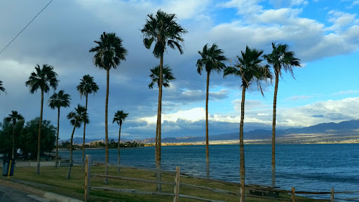 Havasu Landing Campground - Thumbnail