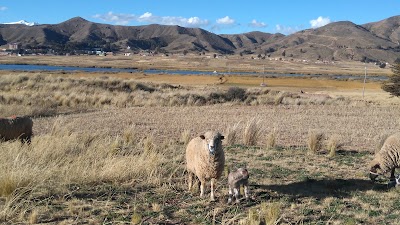 Photos of ISLA COJATA