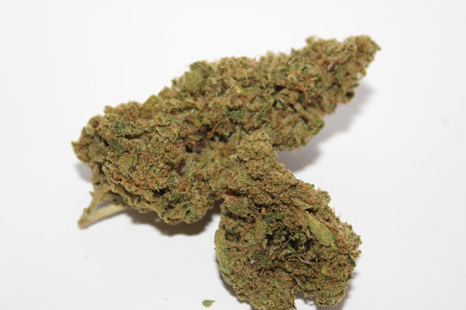 The Dank Bank Gallery - United States