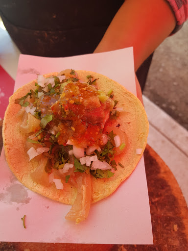 CARNITAS MARTHA - Thumbnail