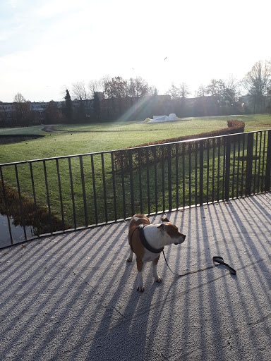 Park Schinnenbaan - Thumbnail