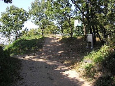 Photos of 월롱산