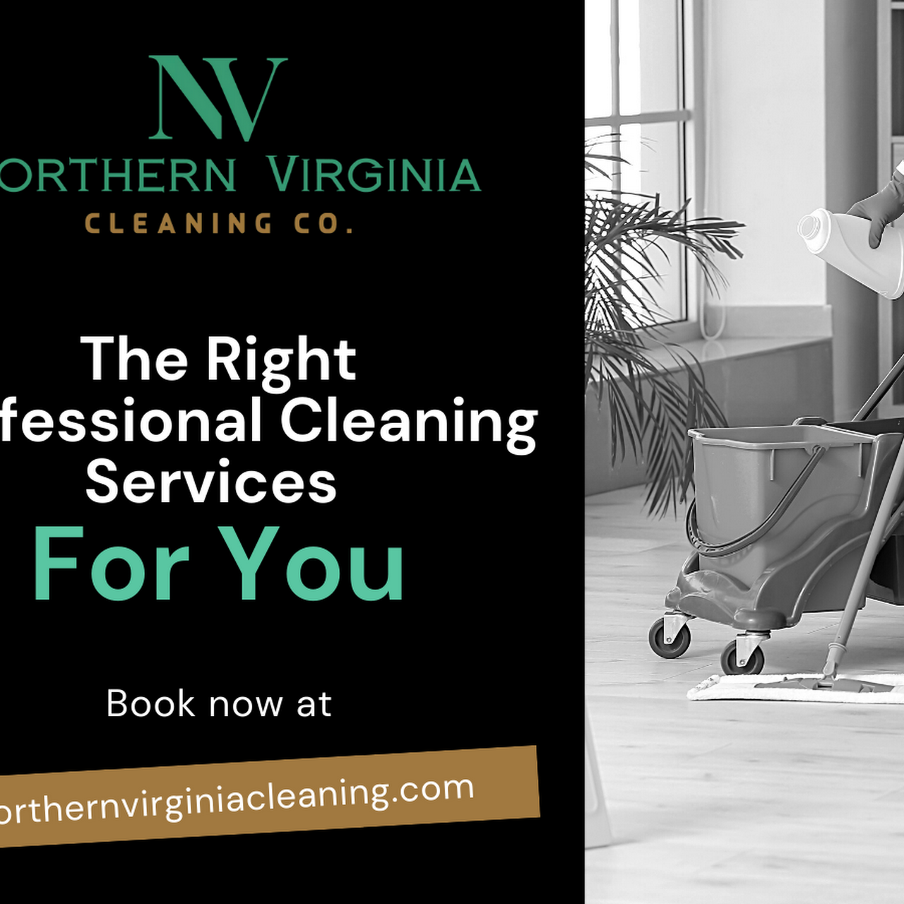 Cleaning Company Vienna, VA