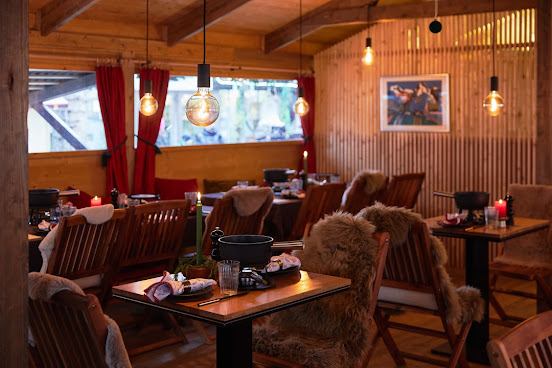 Singing Christmas Tree by null