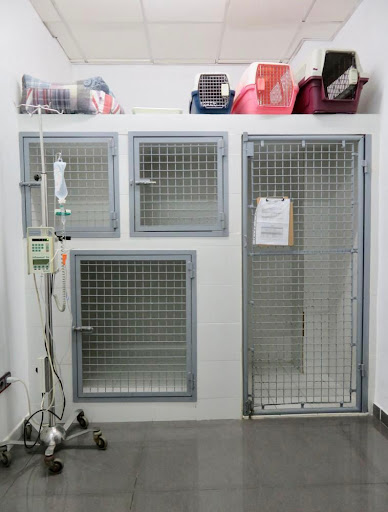 Centre Veterinari Son Cotoner - Thumbnail