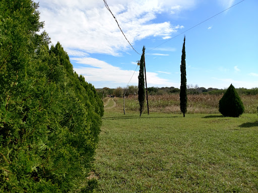 Rancho JF - Thumbnail