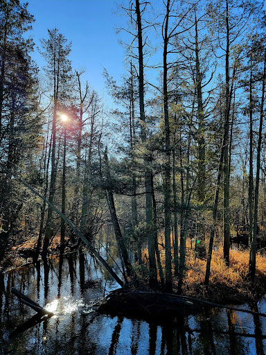 Mullica River Beach Gallery - United States