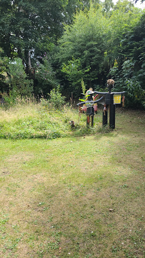 Selby meadow