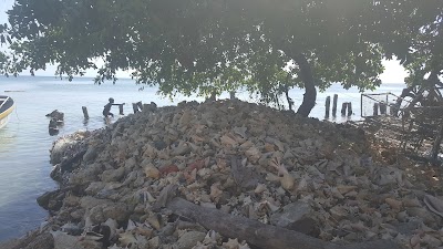 Photos of Isla Mucura