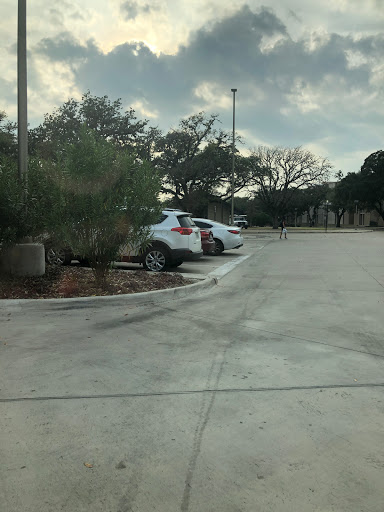 Lot 27 - Visual