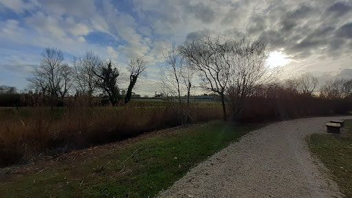 Bosco di Campalto