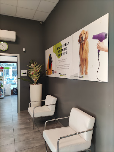 Dog's Corner - Visual