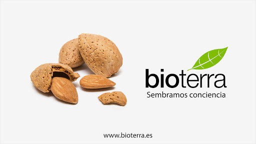 Bioterra - Visual