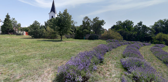 Értékelések erről a helyről: Balatonakali Evangélikus templom, Balatonakali - Templom