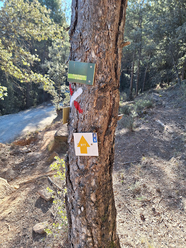 BTT - Cripta d'Olius - Visual