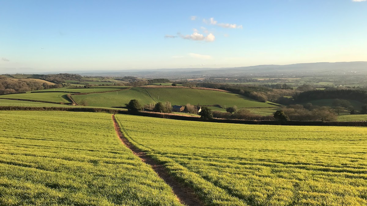 Quantock Financial Services Ltd