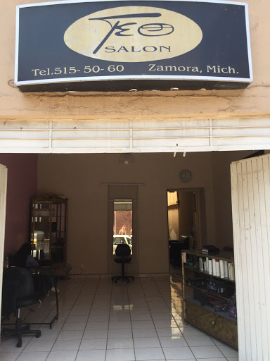 Teo Salon