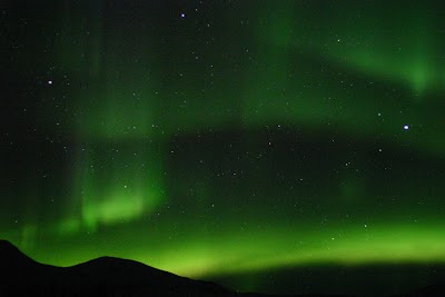 Photos of Tjaldsv&aelig;&eth;i
