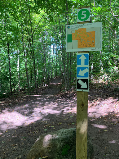 Tanton Family Working Forest Reserve - Mountain Bike Trails Gallery - United States