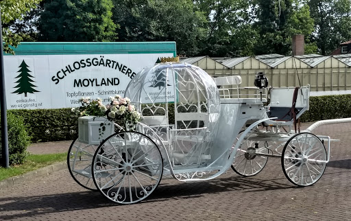 Schlossgärtnerei Moyland - Johannes Janssen - Thumbnail