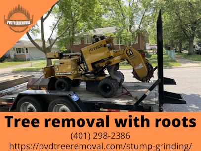 Tree removal with roots Warwick RI